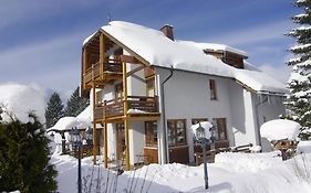 Schöneck Garni - Schluchsee - Hochschwarzwald 3*